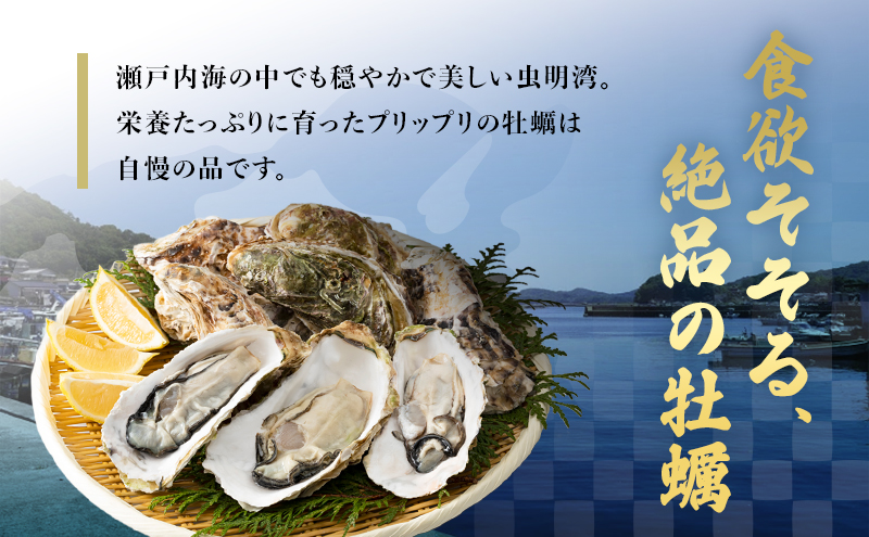 牡蠣 2026年 先行予約 かんかん焼 （ 殻付き 大つぶ牡蠣 20個） 山銀商店 瀬戸内海虫明湾産 大粒 生牡蠣 かき 魚介類 カキ かんかん焼き 軍手 ナイフ付き 加熱調理用
