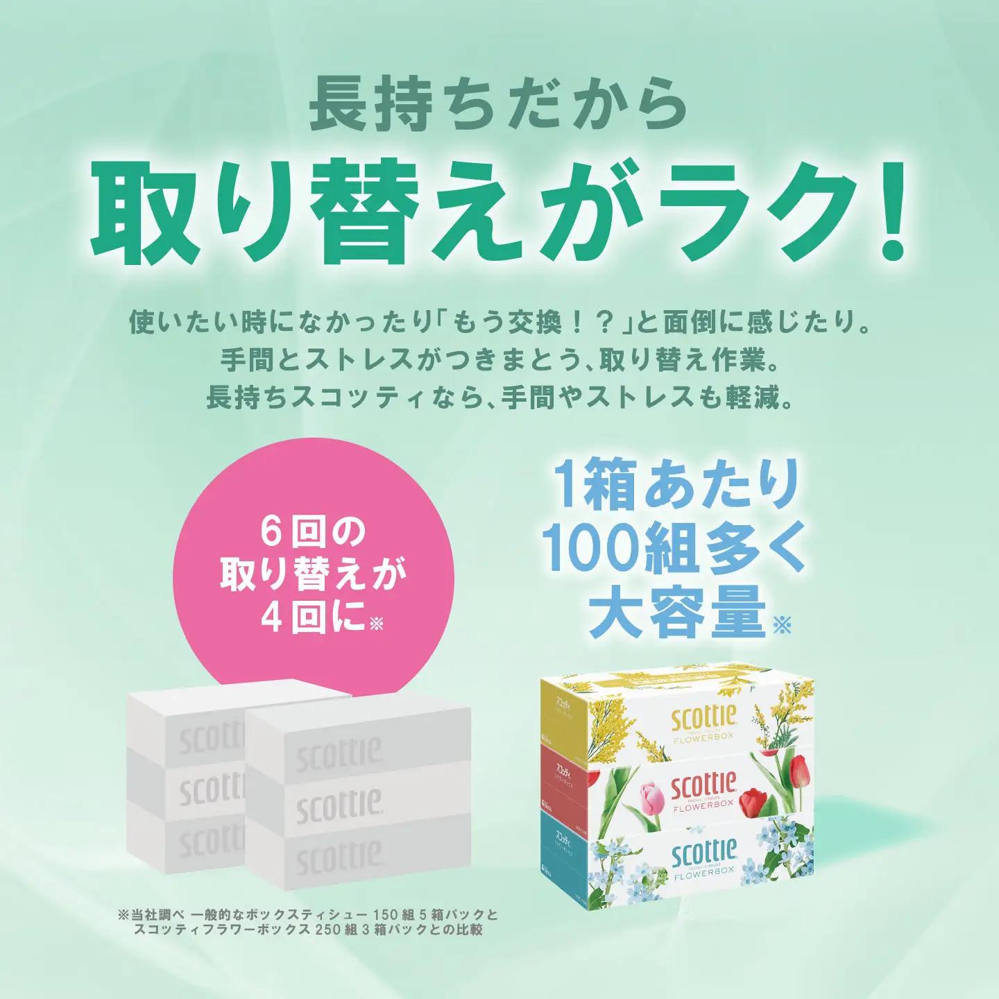 スコッティ ティッシュ 250組 30箱 ティシュー
