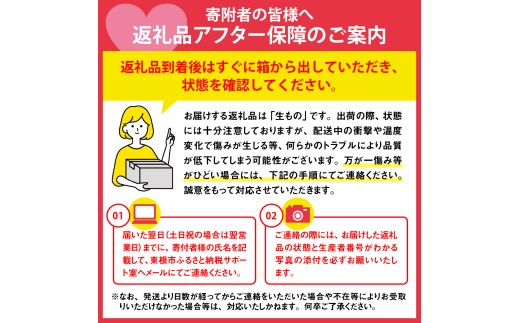 【2026年産】 西洋梨 ラフランス 3kg 山形県 東根市 安達農園提供 hi037-017-r8 フルーツ 果物 くだもの クダモノ ラ・フランス 洋なし 洋ナシ 特産品 グルメ 旬 東北