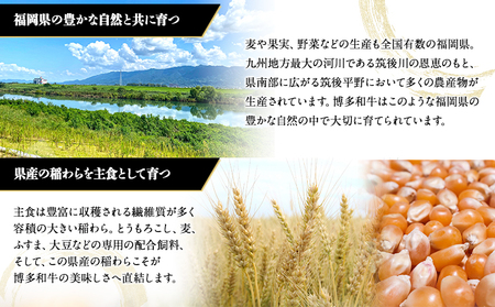 A5等級使用 博多和牛 ロース薄切り肉 350g（350g×1枚）《30日以内に出荷予定(土日祝除く)》すき焼き しゃぶしゃぶ 博多和牛 小竹町　肉の筑前屋　牛肉