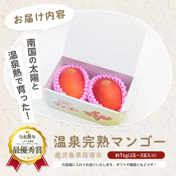 2026年発送 鹿児島県 指宿 産 温泉 完熟 マンゴー 約1kg T&P IB057-003 マンゴー フルーツ 果物