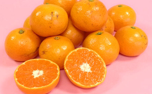 2回定期【訳あり】”やーらしか”鹿島産みかん 約6.5kg ×2回 【配送期日指定不可】佐賀県 鹿島市産 温州ミカン 旨み凝縮 小粒みかん B-714