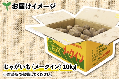 【10月より順次発送予定】北海道 じゃがいも メークイン 10kg 北海道産 十勝産 ジャガイモ 芋 いも ポテト お取り寄せ まとめ買い 送料無料 十勝 士幌町【V05】