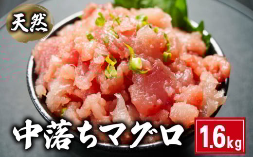 天然 中落ちマグロ  約1.6kg 160×10パック ビンチョウマグロ メバチマグロ キハダマグロ まぐろ 鮪 刺身 赤身 肉 鉢マグロ ビンチョウ キハダ 中落ち 希少 ネギトロ マグロ漬け 海鮮丼 丼 寿司 鉄火丼 手巻き寿司 魚 海鮮 魚介 おつまみ おかず 冷凍 小分け 個包装 お取り寄せ 国産 千葉県 銚子市 和田水産