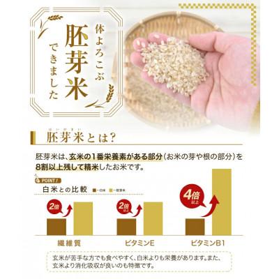 ふるさと納税 酒田市 ひとめぼれ 胚芽米 5kg |  | 01