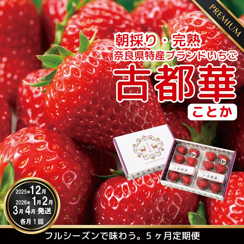 【12・1・2・3・4月発送】奈良県特産 高級ブランドいちご「古都華」大満足の５ヶ月定期便// いちご イチゴ 古都華 フルーツ 果物 旬 限定 ブランド // いちご イチゴ 古都華 フルーツ 果物 旬 限定 ブランド 朝採り 完熟 いちご ことか イチゴ 先行予約 古都華 数量限定 古都華 甘い 先行受付 予約