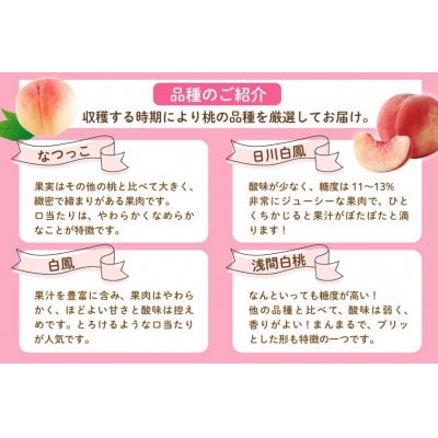 【2026年発送 先行受付】山梨県山梨市産 桃 3kg (7～12玉)【配送不可地域：離島・沖縄県】