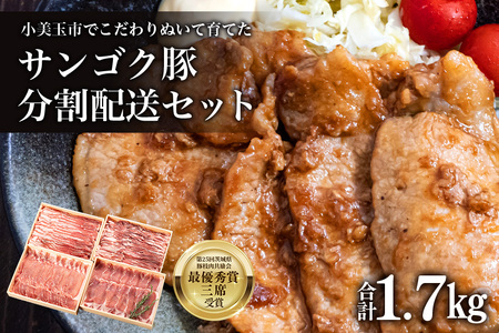 サンゴク豚（分割配送セット） 合計1.7kg（850g×2回）定期便 しゃぶしゃぶ 焼き肉 豚肉 豚バラ肉 ロース 小分け 真空パック しゃぶしゃぶ肉 焼肉用 ブタ肉 国産 茨城県産 ギフトプレゼント 高級部位 2-A