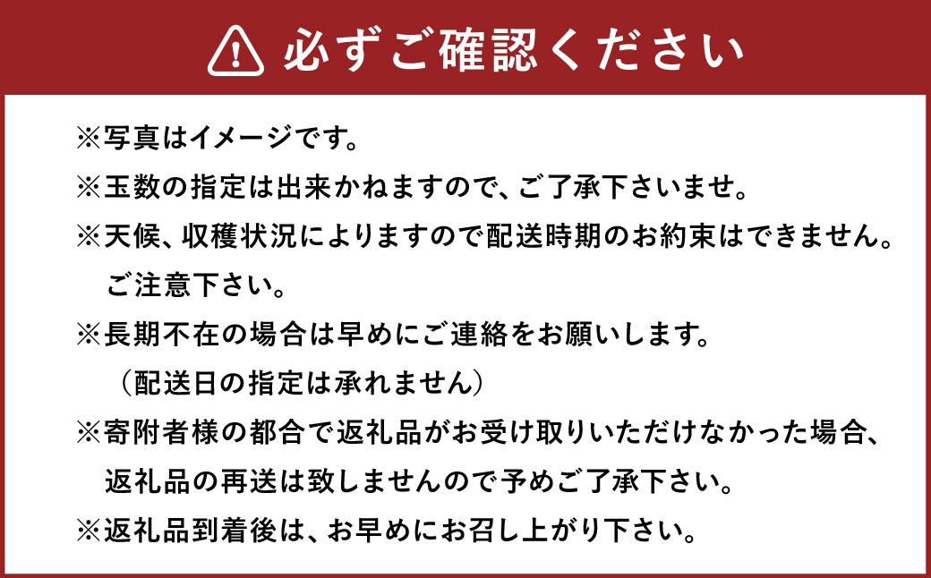 新興梨 9～12玉 約5kg ナシ 梨 福岡県産