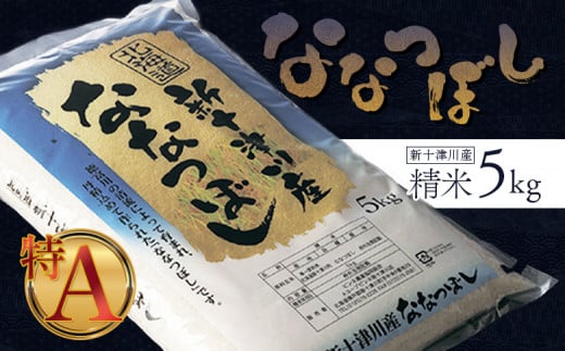 《先行受付》 【令和7年度産】ななつぼし 精米 5kg ｜ オンライン 申請 ふるさと納税 北海道 新十津川 北海道産 米 ブランド ブランド米 お米 北海道米 道産米 道産 ご飯 美味しい ギフト  贈り物 プレゼント お取り寄せ 新十津川町 日本穀物検定協会 食味ランキング 特Ａ【1100304】