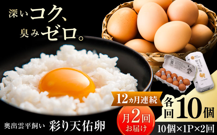 《月2回 × 10個 12ヶ月コース》 たたらの里平飼い 彩り天佑卵 全24回定期便 島根県雲南市/株式会社たなべたたらの里（たなべ森の鶏舎）｜たまご 卵 放牧卵 平飼い卵 新鮮 国産 定期便 [AIDL019]