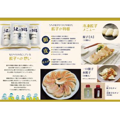 ふるさと納税 豊後大野市 【うちの餃子】餃子(大)・一口餃子・水餃子Bセット |  | 02