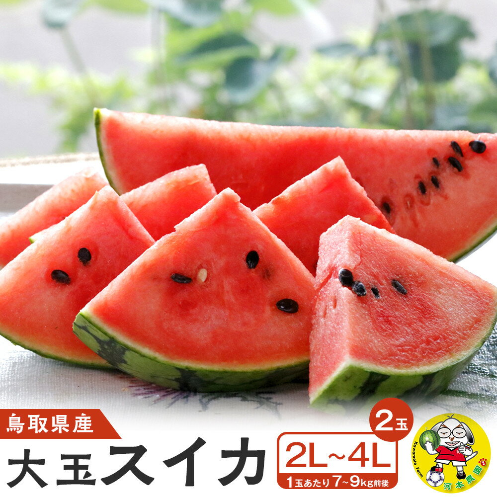 【ふるさと納税】【先行予約】鳥取県北栄町産 大玉スイカ(2玉セット)1玉あたり7-9キロ前後2L-4Lサイズ（こちらの返礼品は、大栄西瓜ではありません）