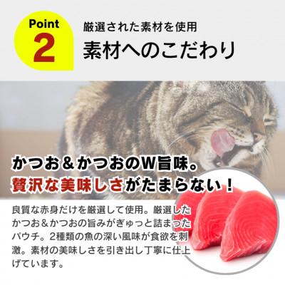 ふるさと納税 久留米市 金かつお 猫用パウチ(かつお節入り)160g×48袋(久留米市) |  | 02