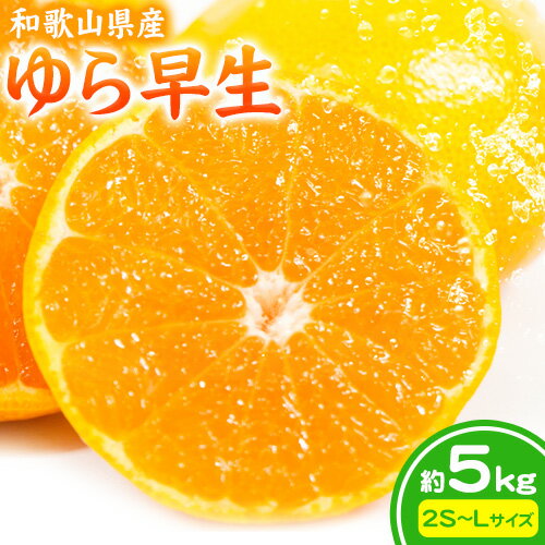 【ふるさと納税】和歌山県産 ゆら早生 約5kg(2S〜Lサイズ) 北村農園 《10月上旬-10月末頃より出荷予定》和歌山県 日高町 送料無料 みかん 蜜柑 柑橘 果物
