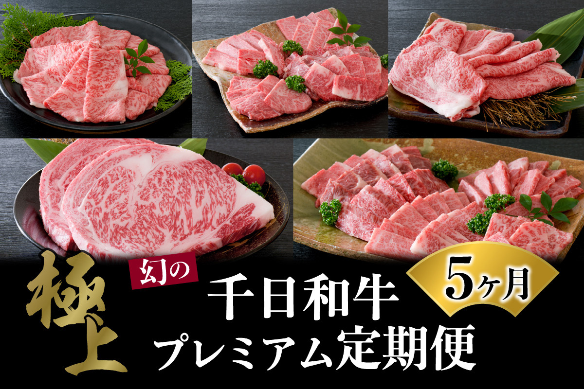 
【数量限定】★肉の至宝★ 山形牛【千日和牛】旨味とろける和牛5ヶ月定期便
