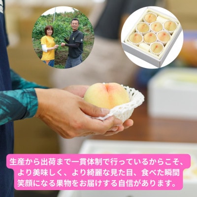 岡山県産清水白桃　8玉・約2.0kg【配送不可地域：離島】