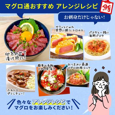 ふるさと納税 藤枝市 【訳あり】本鮪 赤身　500g |  | 03