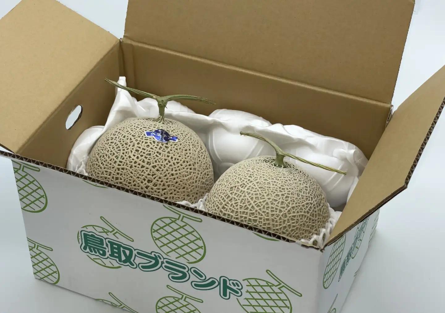 ベネチアメロン 約2.7kg【倉吉産】（7月発送） 2026 メロン