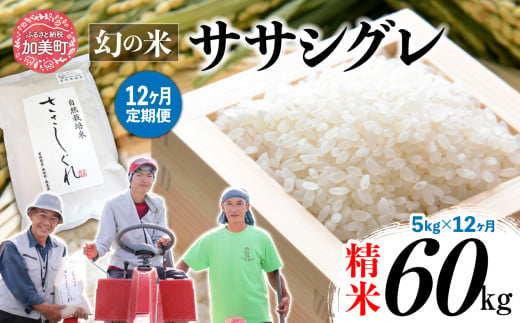 新米 【 12回 定期便 】ササシグレ 精米 5kg × 12回 （ 合計 60kg ）