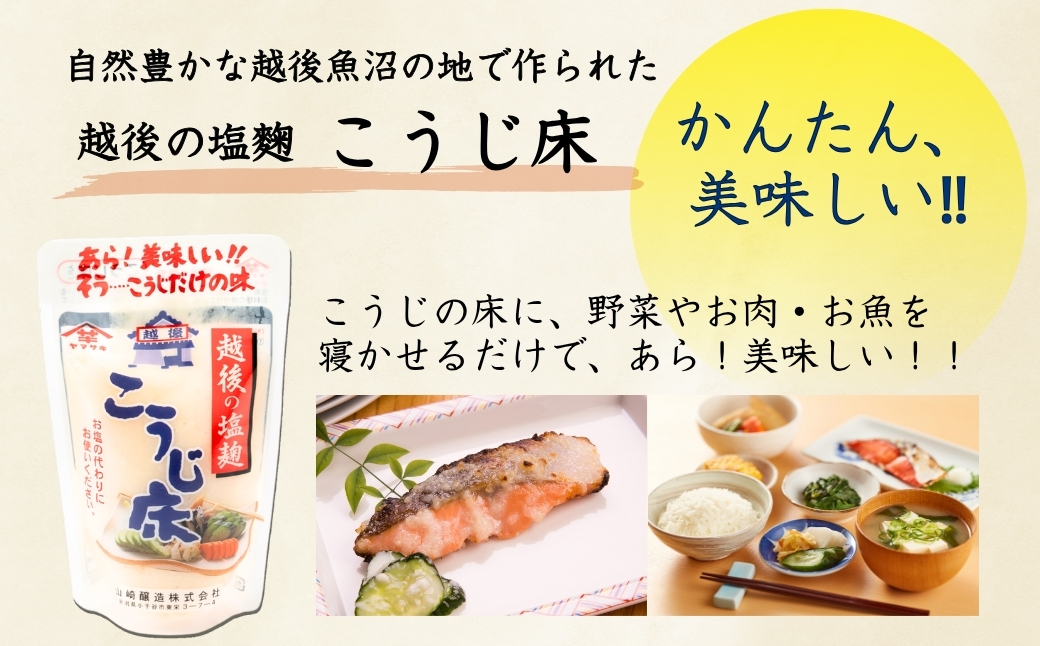 山崎醸造 塩こうじ8個セット (人気の4種類×各2個) 塩麹 万能調味料 山崎醸造 【0002-0237-01】