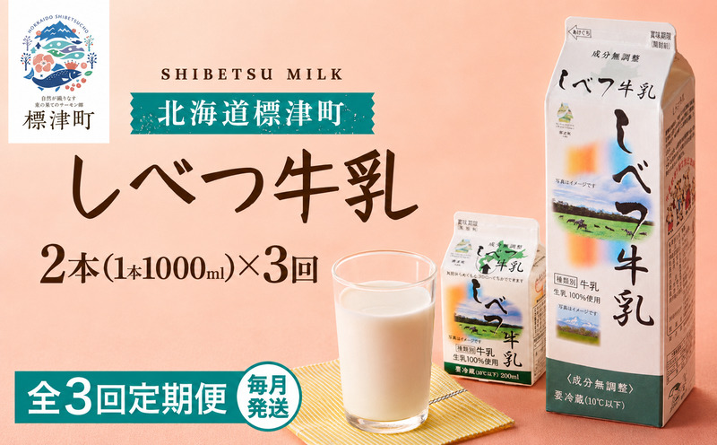 【全3回定期便】【毎月2本】 しべつ牛乳 1L × 2本 北海道産 パックミルク 定期便 牛乳 乳製品 生乳 生乳100% 国産 ミルク みるく ぎゅうにゅう 乳 標津 しべつ 成分無調整 無調整 1l 1リットル 健康 朝食 飲料 パック 2万円 以下 1万円 台 おすそ分け 給食 グラタン パスタ 北海道 標津町