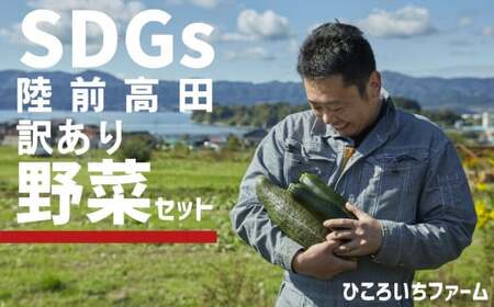 訳あり 野菜セット 約3～4種類 農家のおすそわけ 旬 野菜セット