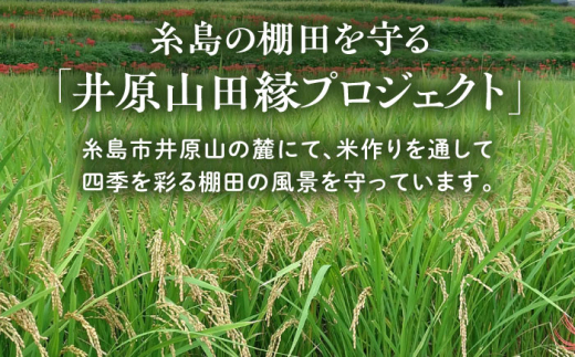 【新米先行予約】田縁米（でんえんまい）・天日（てんじつ）白米2kg 【2024年11月以降順次発送】糸島市 / NPO法人田縁プロジェクト [ATM001] 米 お米