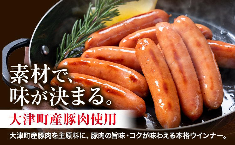 ウインナー 粗挽き ポーク ウインナー 500g ソーセージ 《2026年2月中旬-3月末頃出荷予定》九州産 豚肉 熊本県 大津町 惣菜 ウインナー ソーセージ 豚肉 豚 うまかポーク 弁当 おかず-
