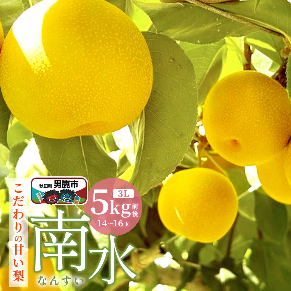 【ふるさと納税】【先行受付】10月中旬〜下旬発送 南水 梨 こだわりの甘い梨 5kg前後 3L 14〜16玉 産地直送 旬の果物 ギフト 秋田県 男鹿市 [日本梨 梨 なし ナシ 南水 なんすい ナンスイ]