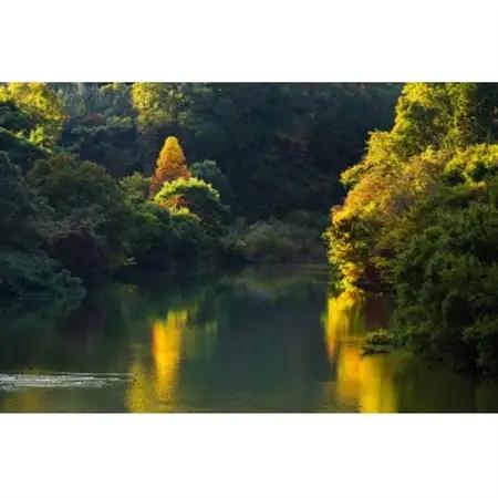 天理の風景2『 AUTUMN RADIANCE ～ 秋光 ～ 』2Lメタルグラフィックアート【1712601】