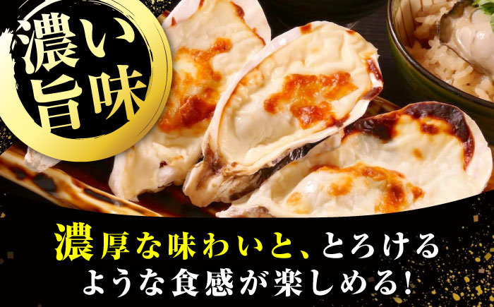 牡蠣 冷凍 かき カキ 広島牡蠣の老舗！安心・安全の新鮮牡蠣 牡蠣 殻付かきグラタン 6個入 時短 魚介類 和食 海鮮 海産物 広島県産 江田島市/株式会社かなわ [XBP026]