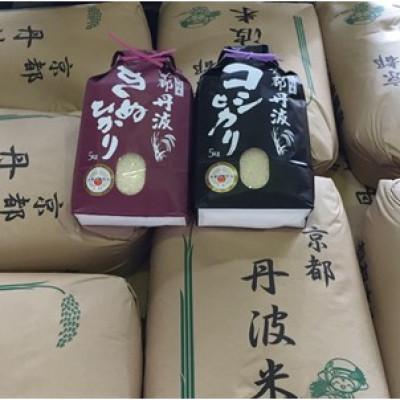 ふるさと納税 南丹市 【毎月定期便】契約栽培米　京都丹波産こしひかり100%(5kg)・きぬひかり100%(5kg)全6回 |  | 01