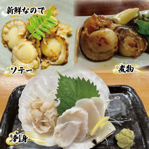 特Lサイズ 殻付き 活ほたて 6枚 12cm以上 ほたて