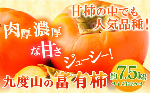 柿の名産地 ＜先行予約＞ 九度山の富有柿約7.5kgサイズおまかせ 厳選館 《2025年11月上旬-12月下旬出荷》 和歌山県 日高川町 柿 カキ かき ジューシー フルーツ