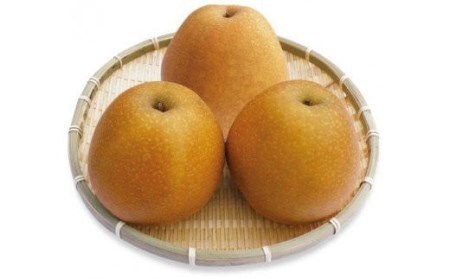 王秋 梨 5kg 鳥取県産【10月中旬～10月下旬 先行予約受付 おうしゅう ナシ なし 5ｷﾛ JA米子選果場 0612