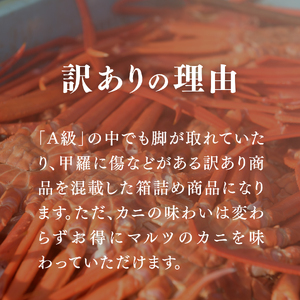 【訳あり】蟹屋の釜茹で紅ずわい蟹1.8kg箱詰めセット 600g前後×3枚 【北海道・沖縄・離島配送不可】 ベニズワイガニ 紅ずわいがに カニ かに 境港 マルツ ボイルズワイガニ 鳥取県日野町