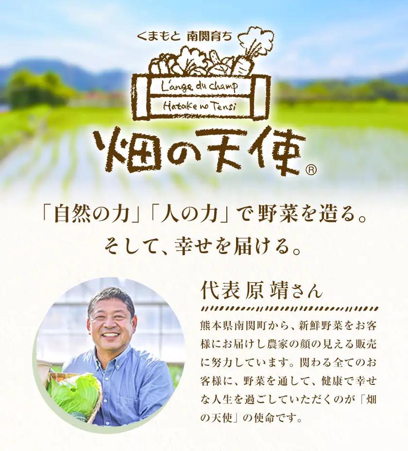 【12ヶ月定期便】野菜 詰合せ 7～9品 米 2kg 12回《お申込み翌月から出荷》 畑の天使