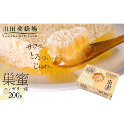 ふるさと納税 鏡野町 巣蜜(ハンガリー産)200g(4216)