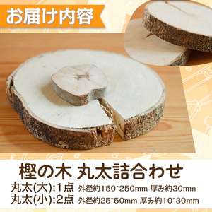 樫の木 丸太詰め合わせ(大1点・小2点) 木 樫 かし 丸太 鍋敷き 【ksg1432】【宮崎木材店】