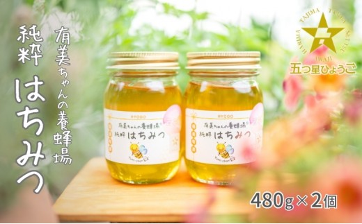 はちみつ 五つ星ひょうご認定商品 有美ちゃんの養蜂場の純粋はちみつ 480g 2個 セット ハチミツ 蜂蜜 非加熱 生はちみつ 国産 セット ハニー 加工品