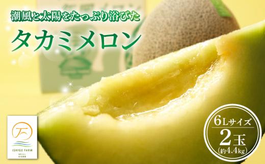 ＜2025年 先行予約 ＞ タカミメロン 青肉 6L サイズ × 2玉 セット (計約 4.4kg) 6月 7月 発送 産地直送 メロン 高級 ブランド 糖度 貴味 タカミ 飯岡メロン ブランドメロン 贈り物 贈答 ギフト プレゼント 果物 フルーツ おすすめ 人気 デザート 千葉県 旭市 飯岡 石毛農園 igf004