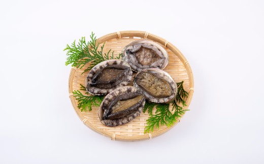[A507-x］翠巡(すいじゅん) 完全養殖 佐世保産 あわび 4個 