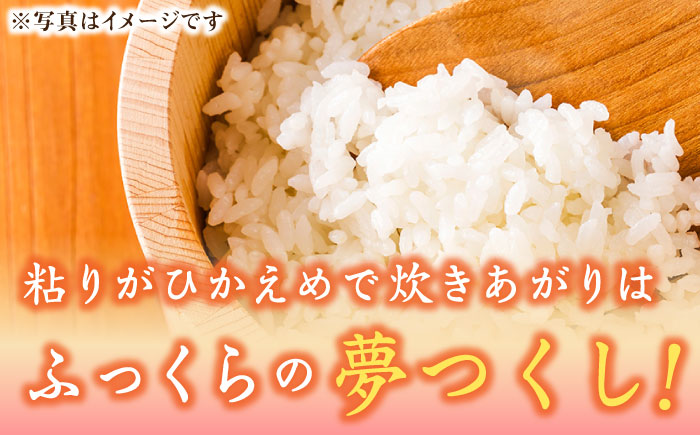 【令和5年産】福岡県産ブランド米「夢つくし」白米 5kg《築上町》【株式会社ゼロプラス】 [ABDD007]