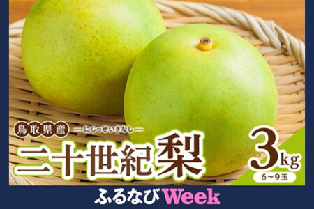 1263.【2026年度発送先行予約】数量限定　二十世紀梨　3kg