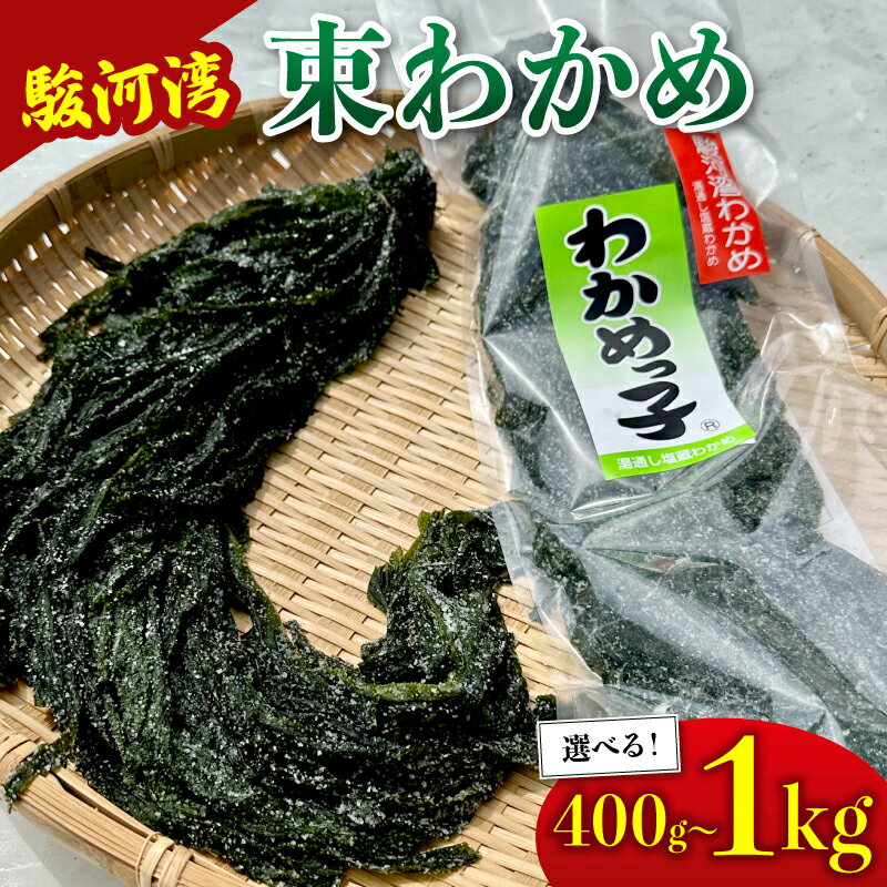 【ふるさと納税】 わかめ 駿河湾 束 わかめ 400g ~ 1kg 200g × 2袋 ~ 5袋 海藻 海産物 海鮮 魚介 ワカメ 若布 若芽 味噌汁 スープ 鍋 サラダ 刺身 酢のもの 家庭用 ギフト プレゼント 贈答 産地直送 静岡 選べる 国産 贈り物 小分け 肉厚 塩蔵わかめ 八木康 静岡県 牧之原市