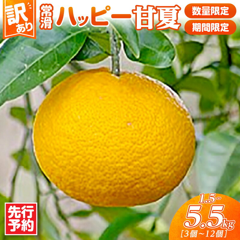 【ふるさと納税】【訳あり】先行予約【数量限定】常滑ハッピー甘夏【選べる！1.5～2kg または 4.5～5.5kg】甘夏 みかん 柑橘 フルーツ 果物 季節のフルーツ お取り寄せ【2027年2月上旬～順次発送】送料無料