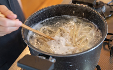うどん 冷凍 ざる うどん 200g×10袋（つけ汁90g×10袋つき）