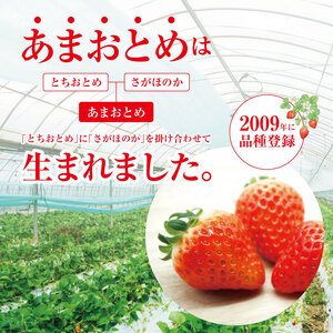 坂本いちご農園 あまおとめ 1㎏ ｜ 果物 くだもの フルーツ いちご 苺 イチゴ あまおとめ 1㎏ 熊本県 玉名市