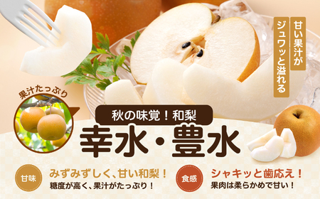 長野県産 溢れる果汁 ジューシーな 梨 幸水 豊水 約10kg 秀品 〈2025年8月下旬～9月下旬発送〉| 果物 くだもの フルーツ 梨 なし 幸水 豊水 長野県 信州 南信州 飯田市